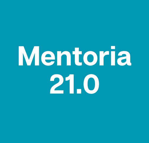 Mentoria Traders Piolhos – Turma 21.0